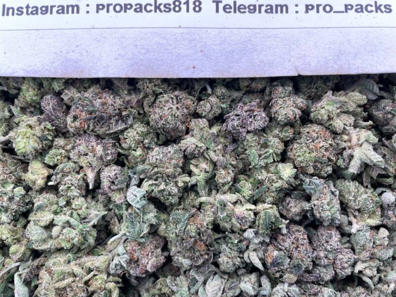 Mini RaZzberry BonkerZz ⚡️ #V26A 🍇