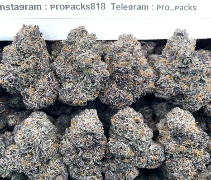 Sour Bubble Gum x Purple Punch 🍬 #P96A 💥