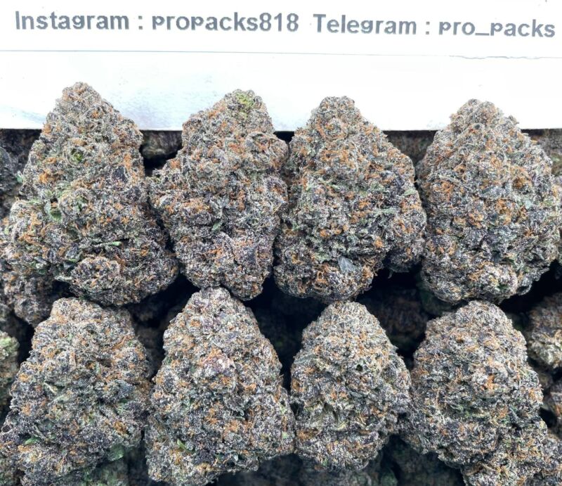 Sour Forbidden MochiZz 😮‍💨 #V67A 🤫