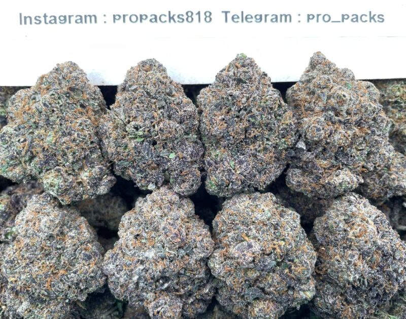 Sweet Mochi GrapeZz 🍡 #V69C 🍇