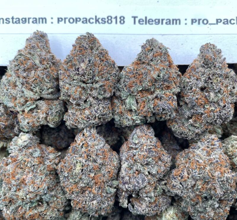 Thin Mint Cookies 🌱 #P27B 🍪