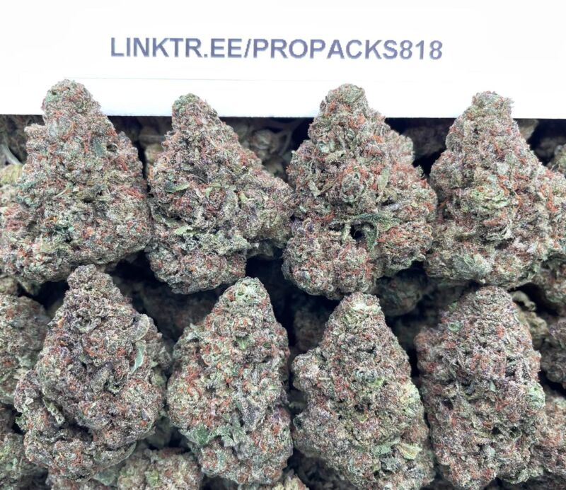 Alaskan Blackberry Runtz 🫐 #V584C 🎩