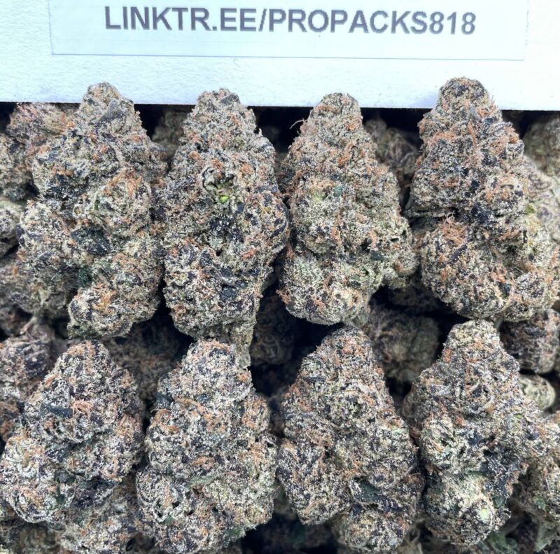 Berry Cherry Crushers 🍒 #V519C 🫐