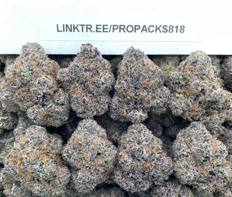 Blackberry Lemonade 🫐 #V526A 🍋
