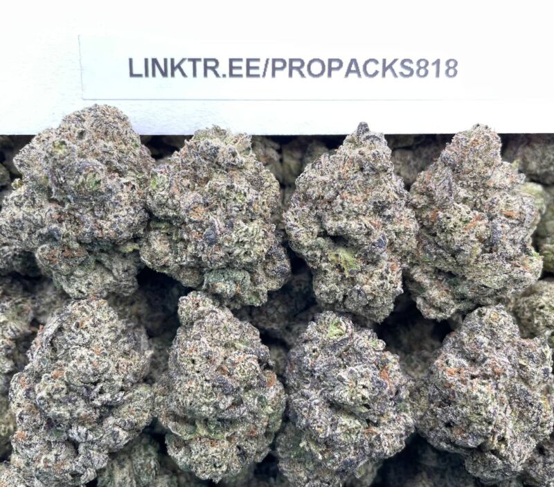 Cherry Gelato Gushers 🍒 #V597A 🍨