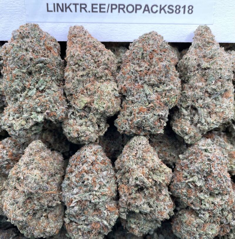 Cookie Stompers 🍪 #V563A ❌