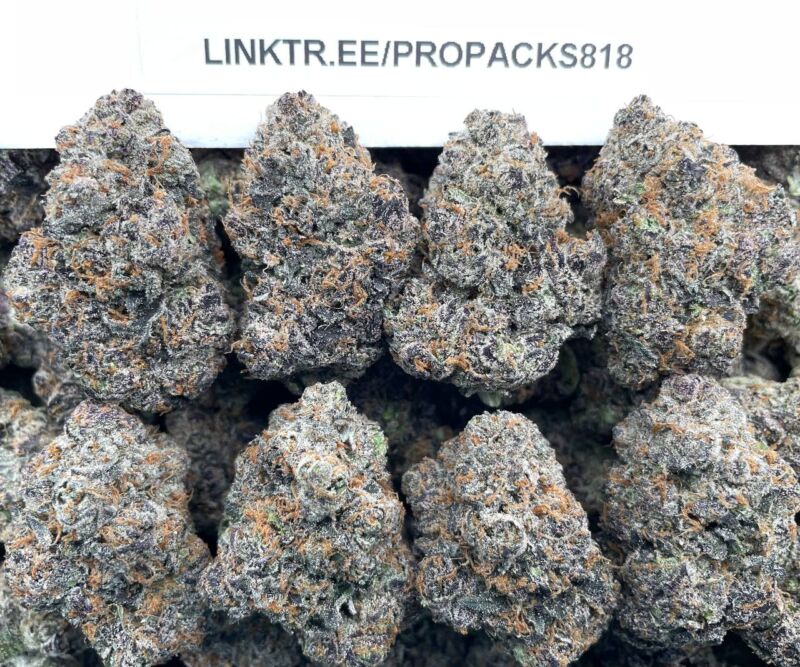 Dark Matter Gelato 🫐 #H362B 🍨