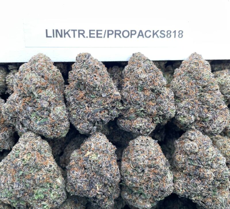 Frosted Berry Sherbert 🍧 #V538A 🍨
