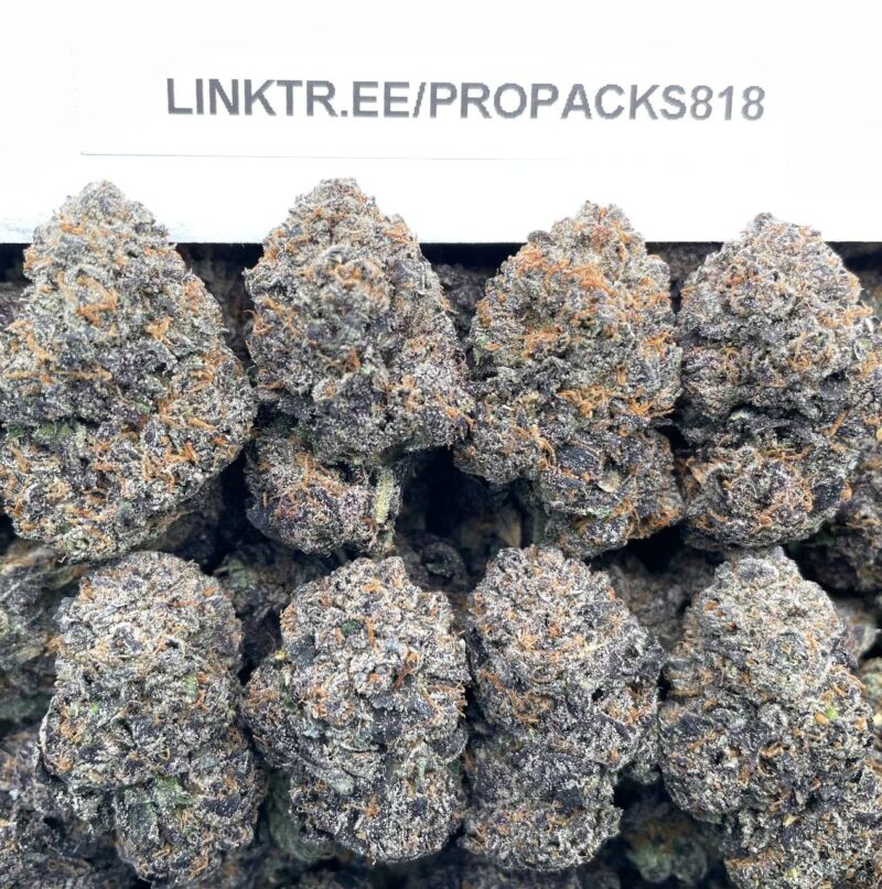 Frosted Black Lemons 🍋 #H313C 🍧