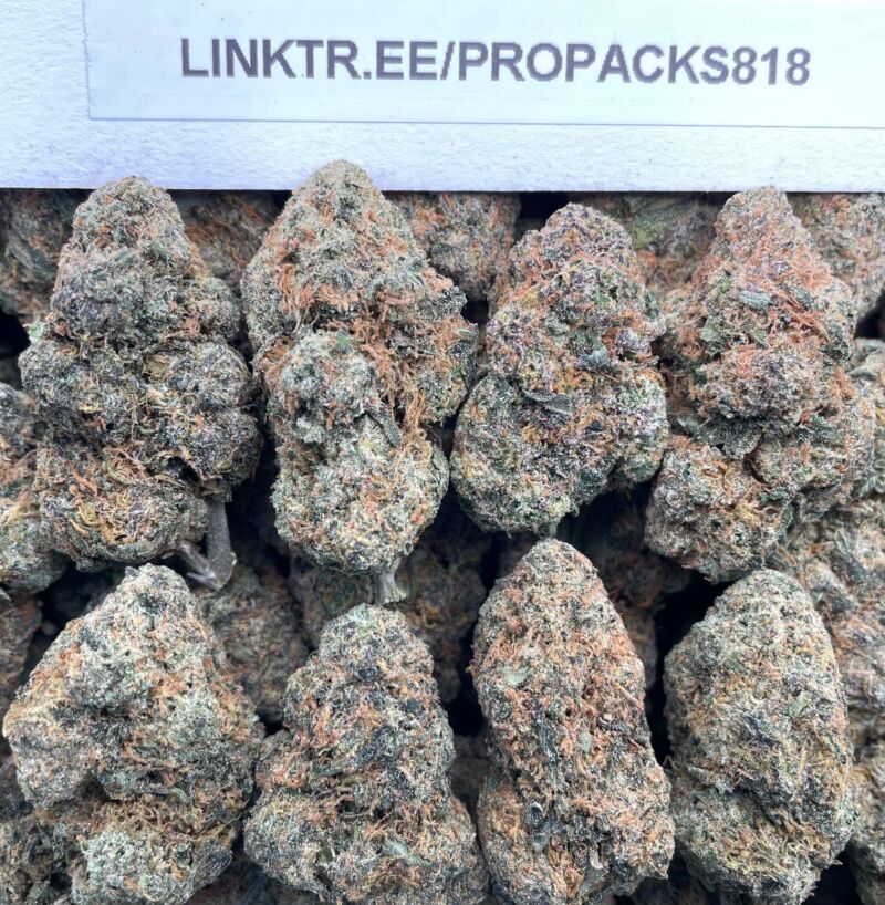 Frosted Cherry Gummiez ❤️‍🔥 #H380B 🧸