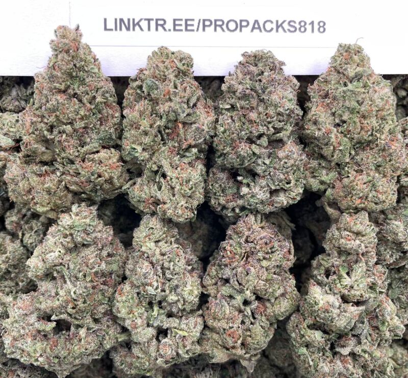 Frosty Purp Runtz 🍇 #P456C 🎩