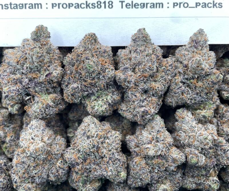 Galactic Gelato RuntZz 🚀 #P495C 🍧