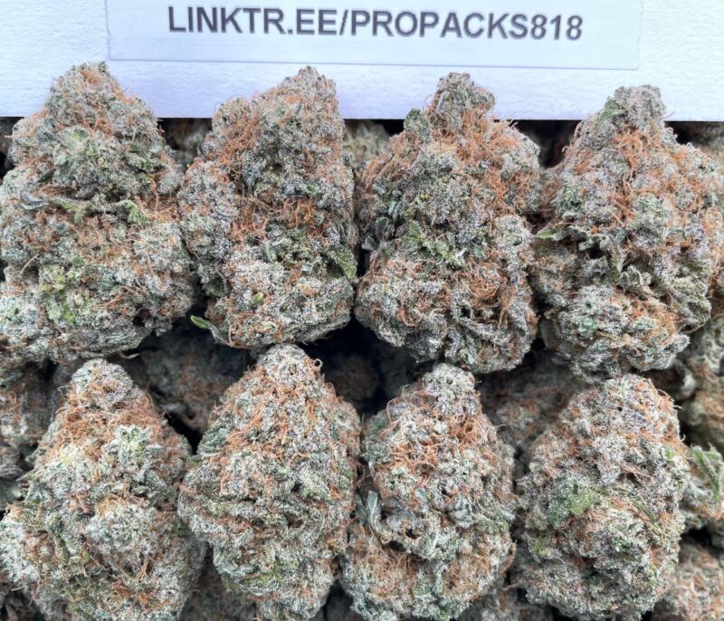 Gas MAC Crushers ⛽️ #H316C 🍪
