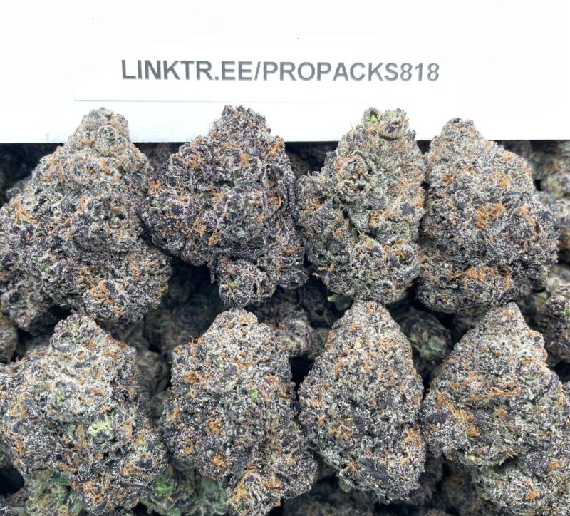 Grape Gas Gelato 🍇 #H376B 🍨