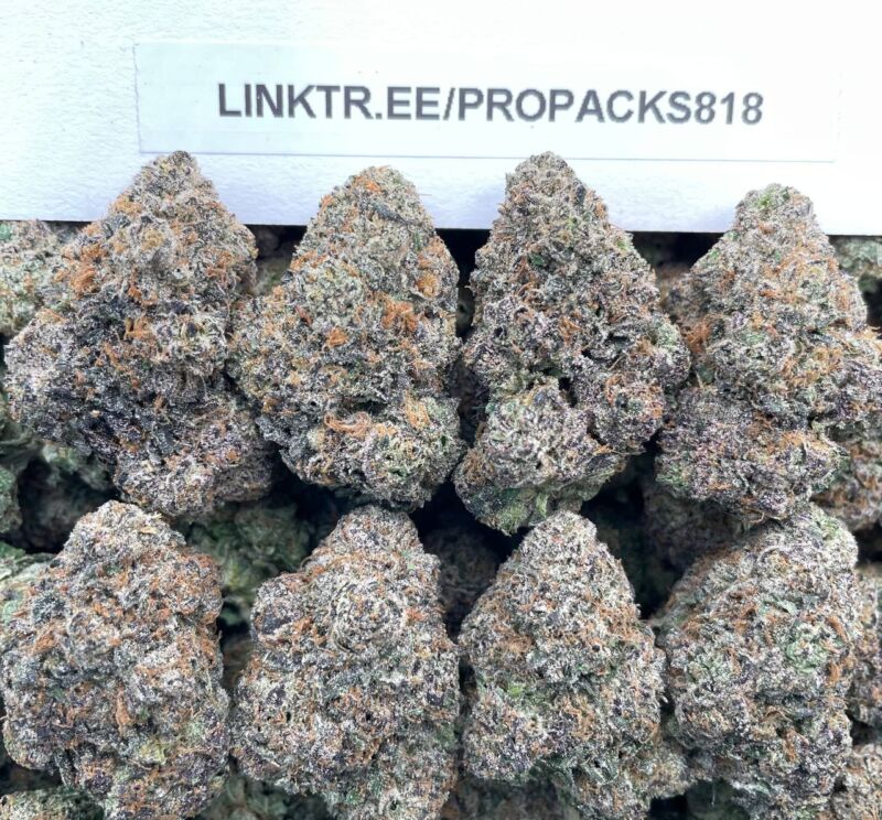 Grape Gelato Berries 🍇 #P461B 🫐