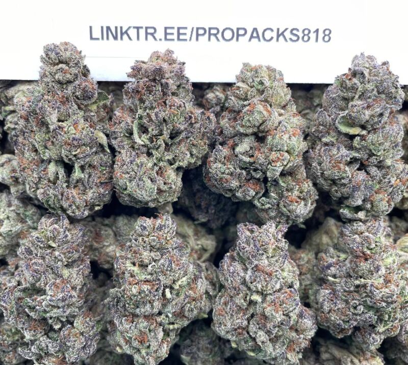 Ice Cream Sherbet 🍨 #P480A 🍦