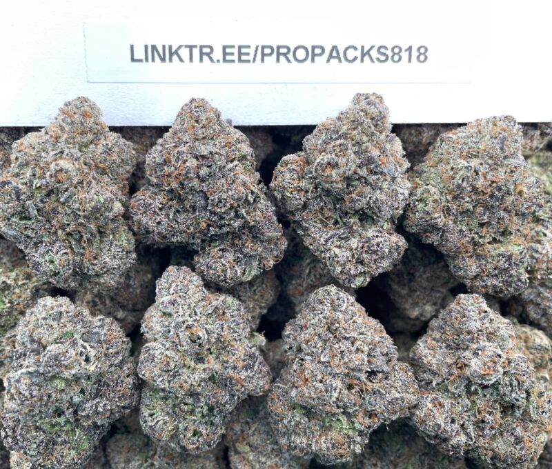 Mochi Octane 🍡 #H354B ⛽️