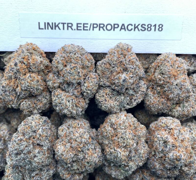Obama Cookies 🦅 #V564B 🍪