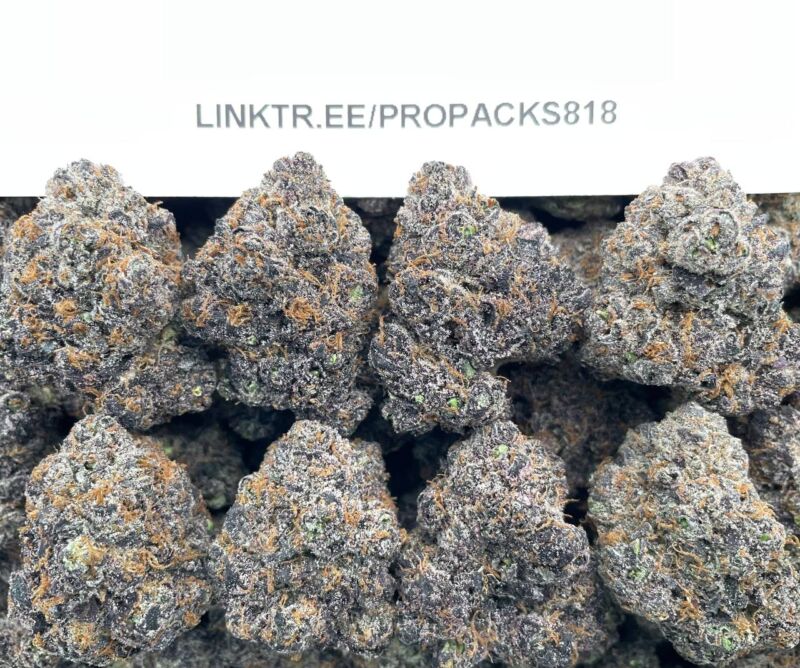 Octane Black Cherry ⛽️ #H339C 🍒