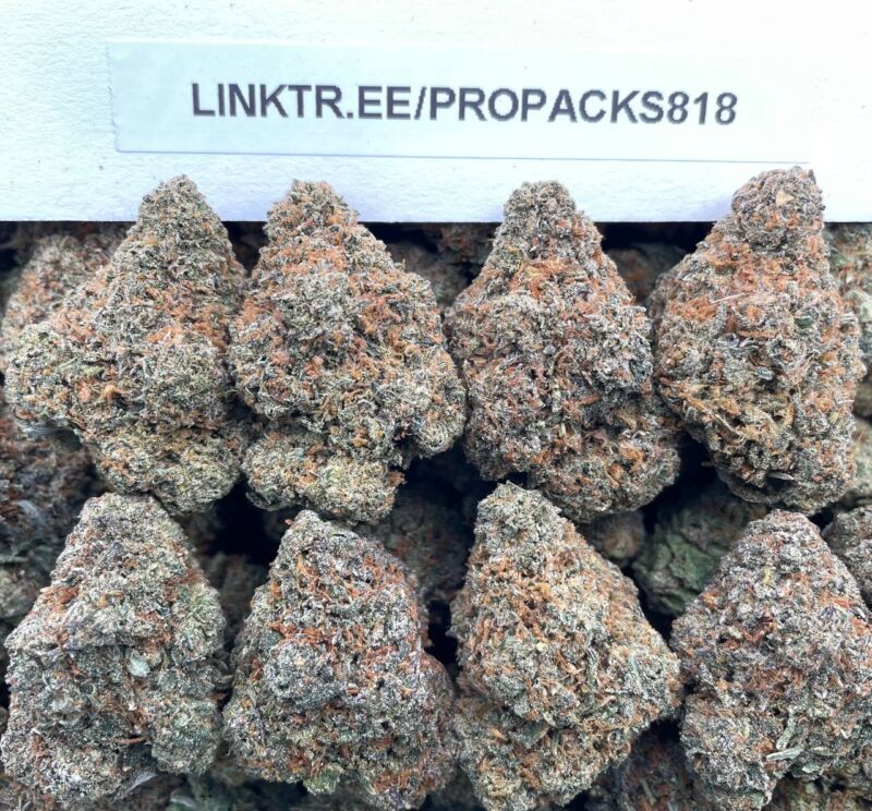 Peach Creme Gelato 🍑 #V577A 🍨