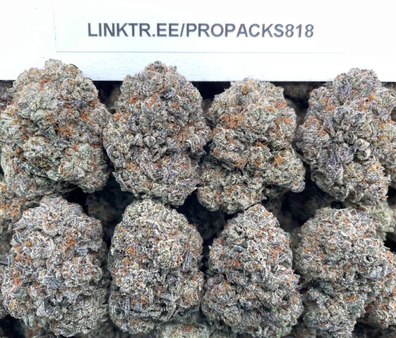 Purple Berry Gas 🍇 #V579B ⛽️