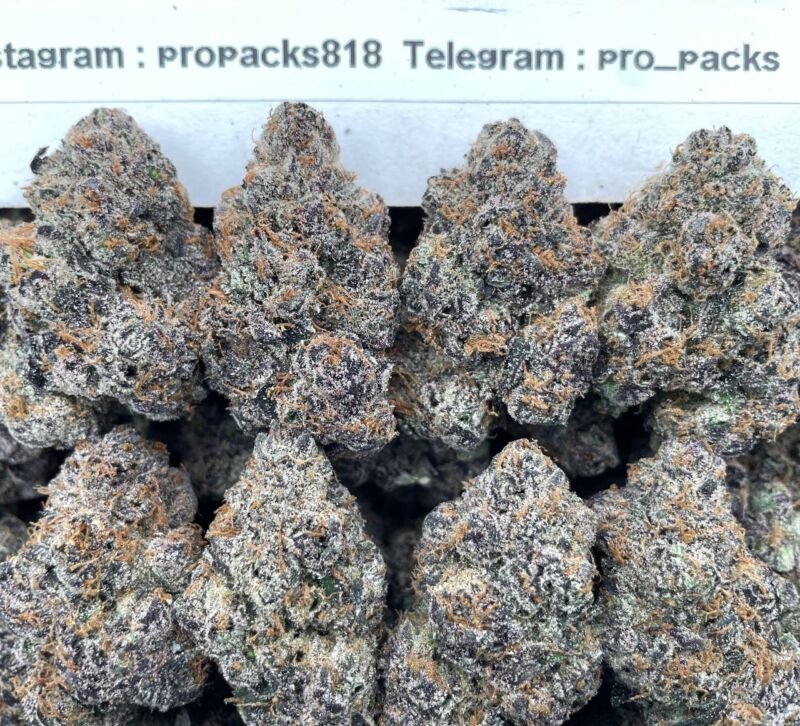 Rainbow Gobstomperz 🌈 #V504C 🍧