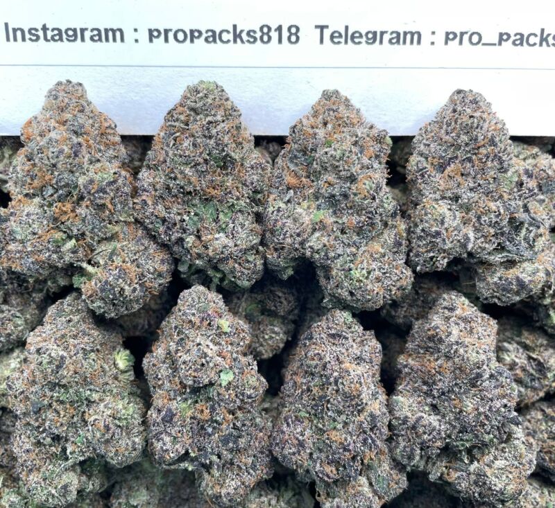 Secret Cherry Gelato 🍒 #H307C 🍧