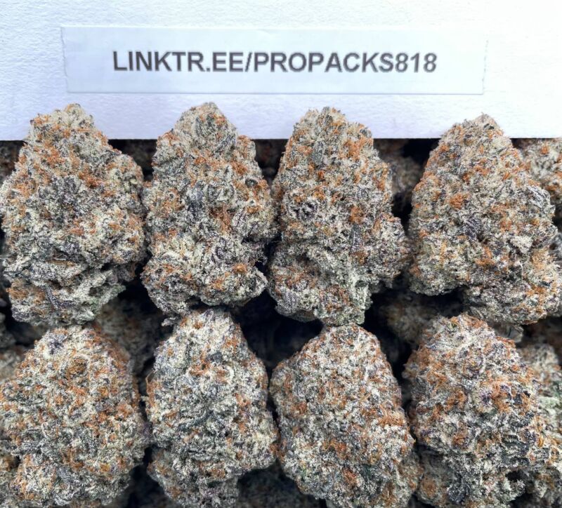 S'moreoz 🍪 #H305C 🧇