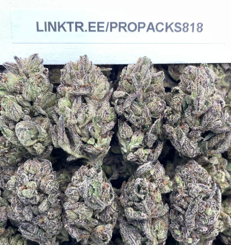 Sour Runtz 41 🍬 #V576A ⚡️