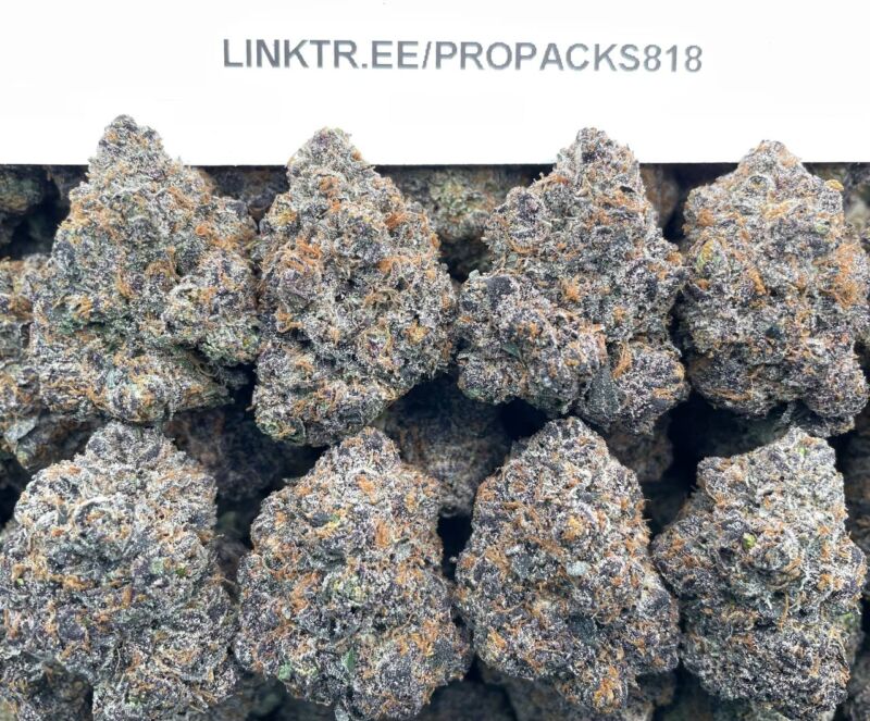 Strawberry Cough 🍓 #P447B 🏆