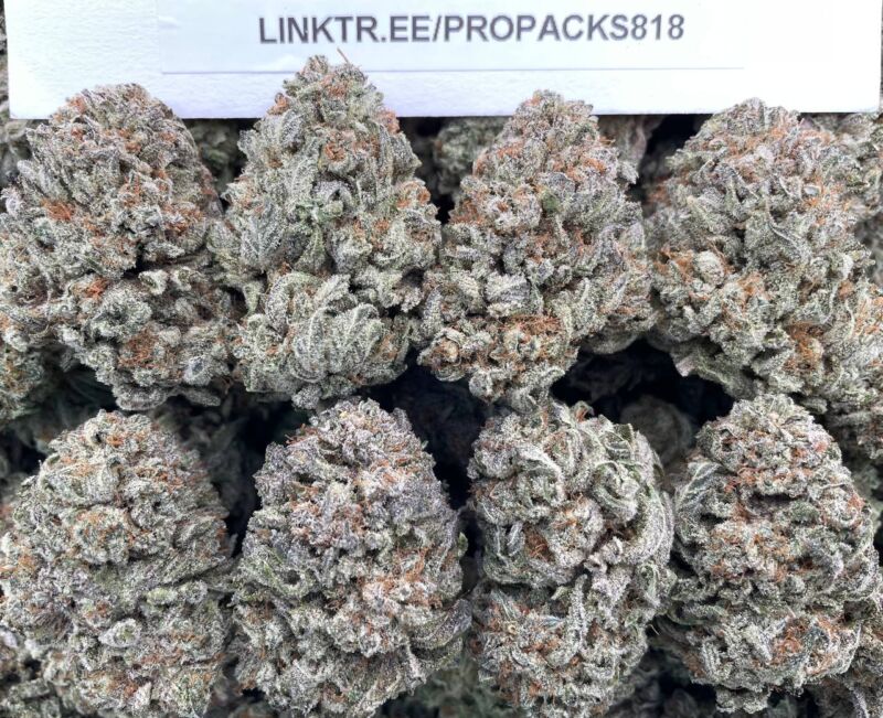 Sweet Tartz 🍬 #H387A 🍯
