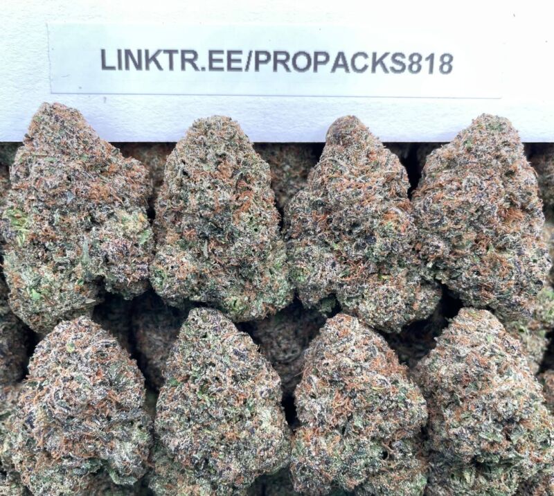Bazooka Tutti Fruitti Gelato 🥭 #V552B 🍨