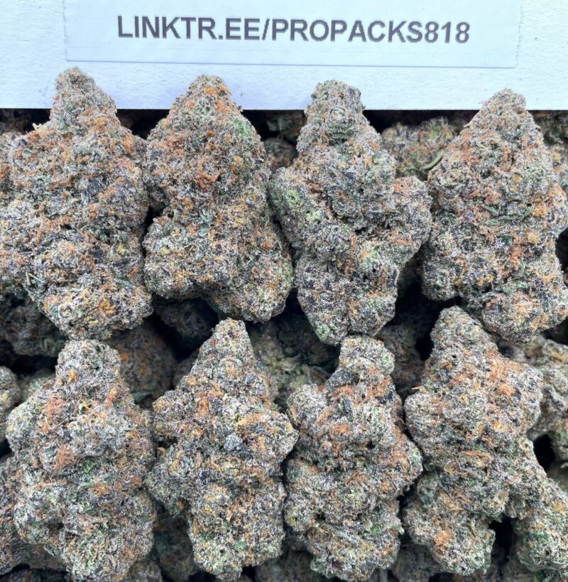 Black Cherry Chem 🍒 #V531A 🧪