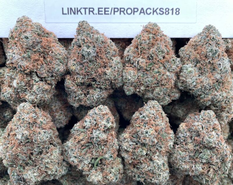 Buttermint Gelato 🍃 #V503C 🍧