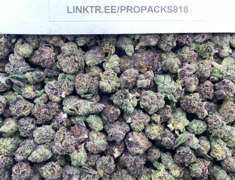 Candy Gas Runtz ⛽️ #P484A 🎩
