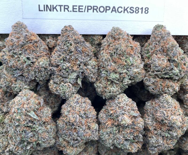 Cherry Lemonade Gelato 🍒 #V511C 🍧