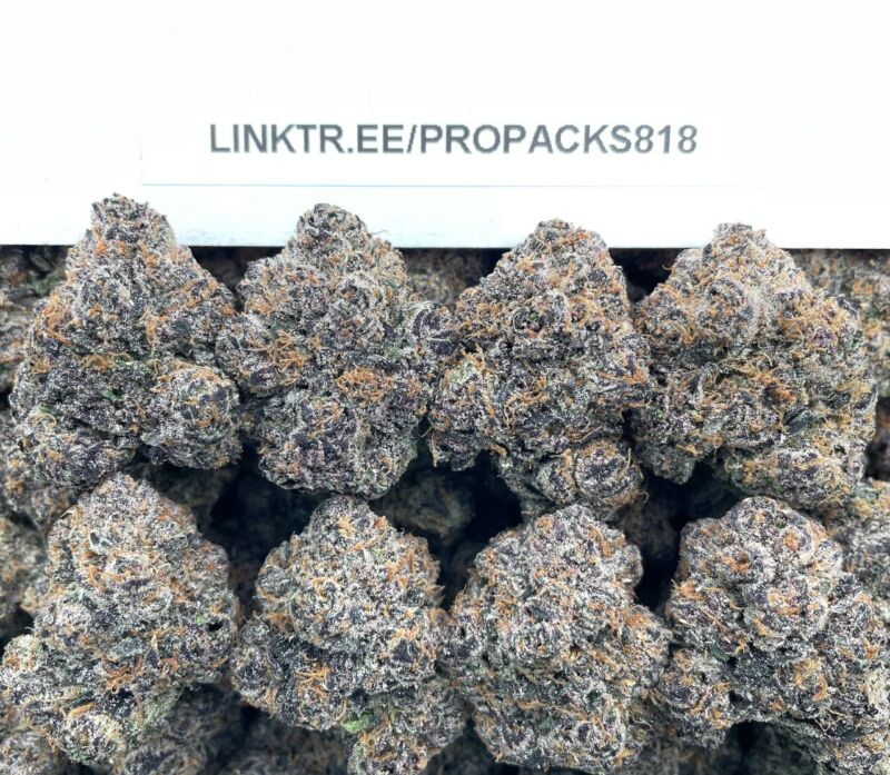 Critical Black Runtz 👾 #H334A 🍬