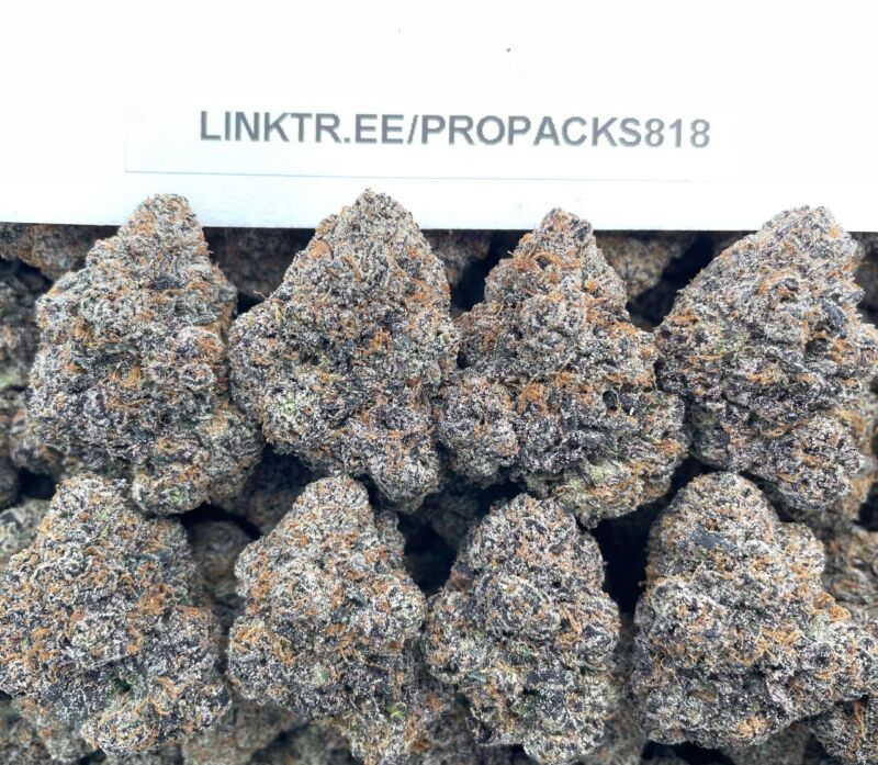 Frozen Cherry Mochi ❄️ #V512A 🍡