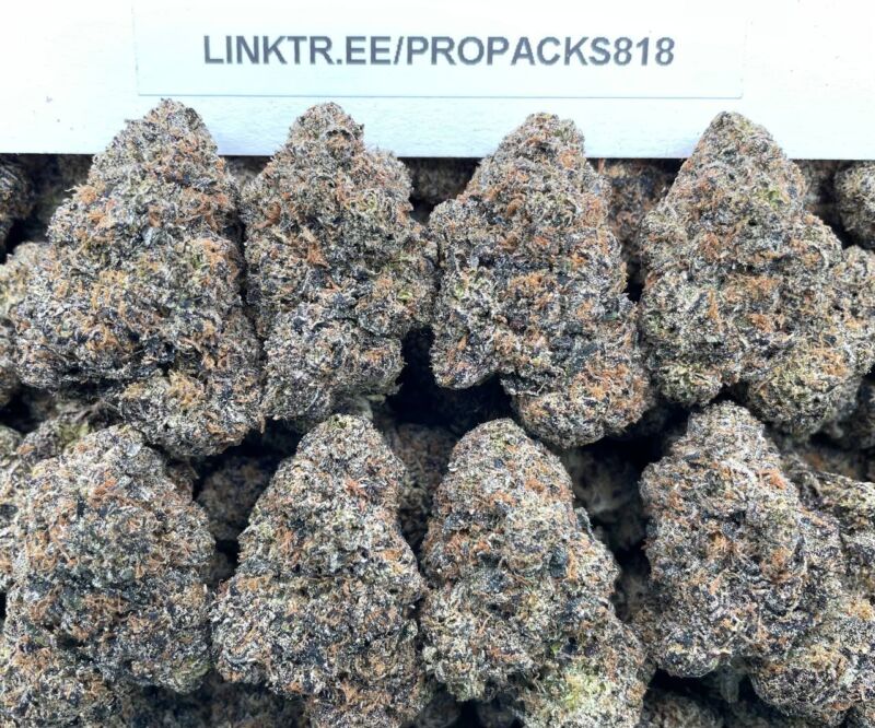 Frozen Peach Sherbert 🍑 #P415A 🍧