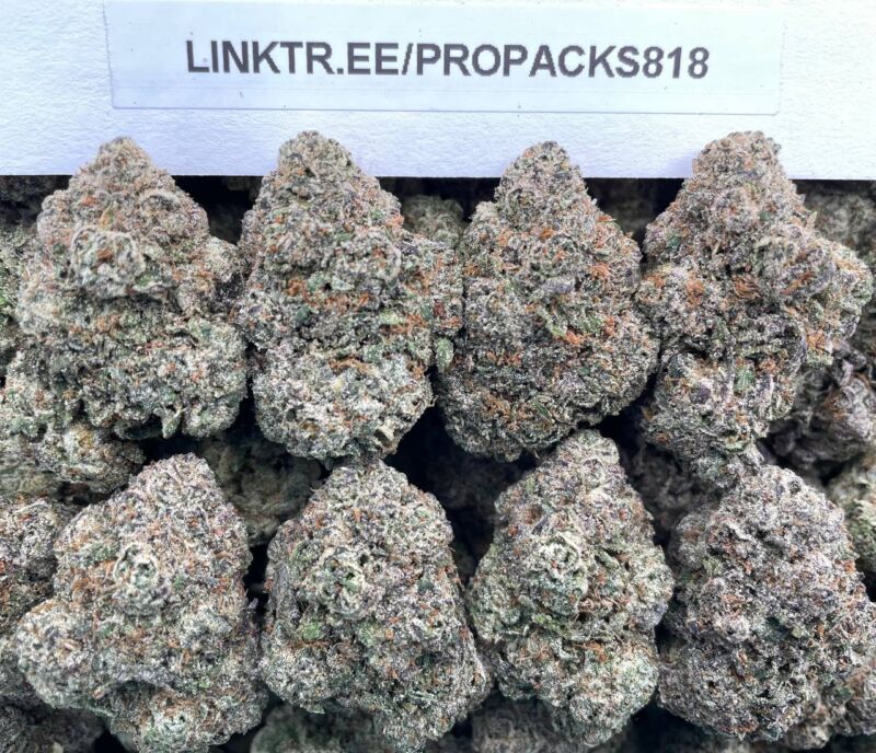 Gelato Fuel 🍨 #H342B 🛩