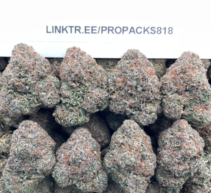 Gelato Milkshake 🍨 #H357A 🥛