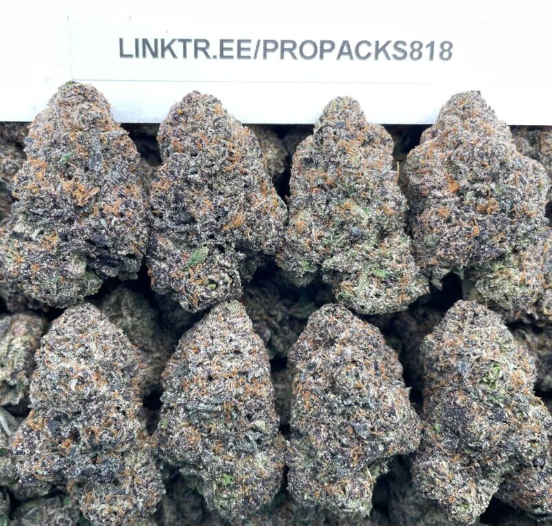 Gelato x Pink Champs 🍨 #P434A 💝