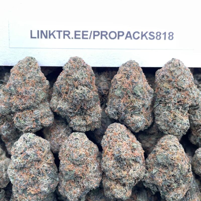 Golden Honey Bites 🥇 #H383A 🍯