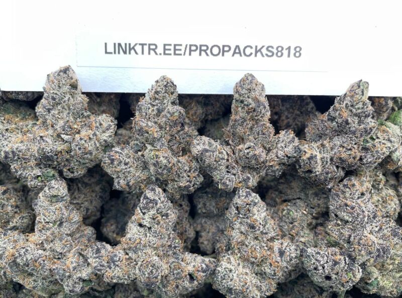 High Octane x ADL No 12 ⛽️ #H393A 🍋