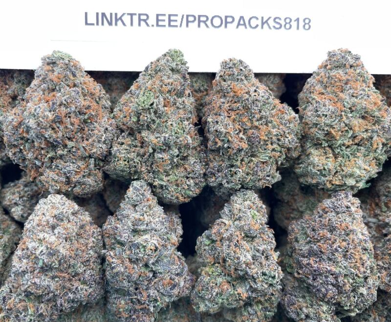 Jealousy Gelato 🍨 #H310C 🍒