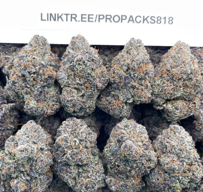 Petrol Rainbow Gelato 🌈 #H309A 🍨