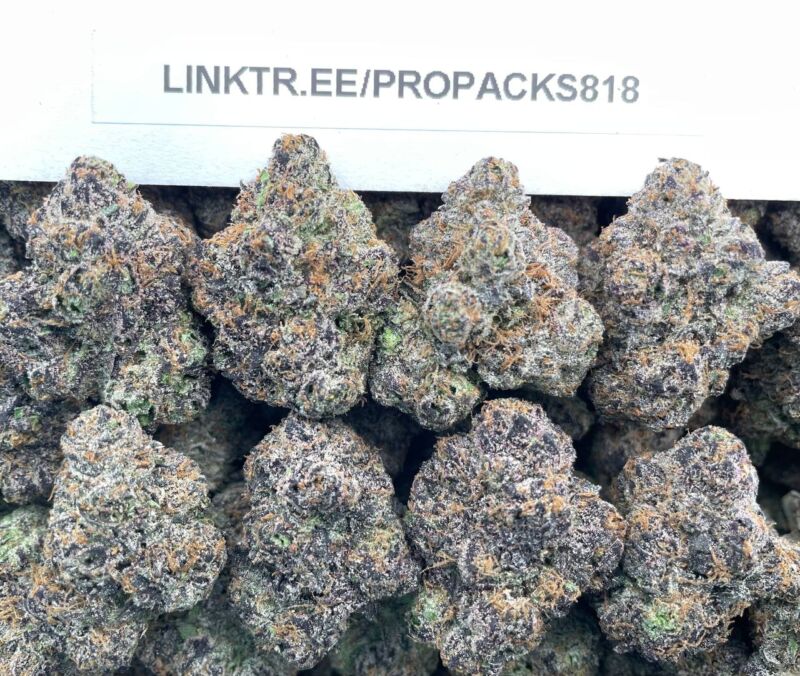 Purple Pushpop 🔮 #V525A 🍭