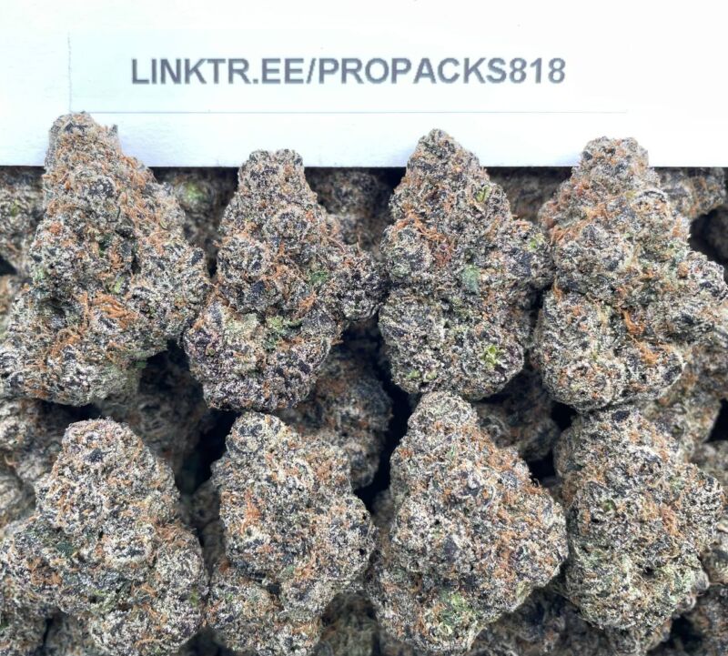 Rainbow Gobstopperz 🌈 #P475A ❌