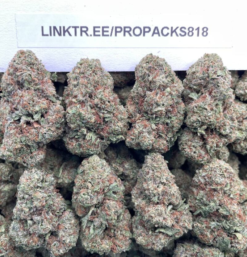 Raspberry Runtz 🍓 #P499A 🎩