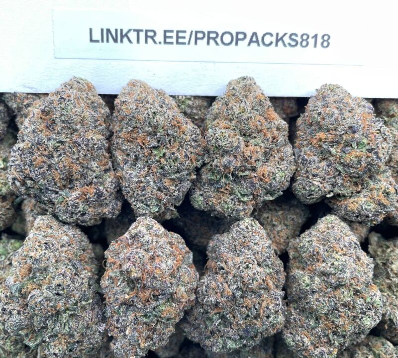 Razzberry Rocket Gelato 🍇 #V588A 🚀